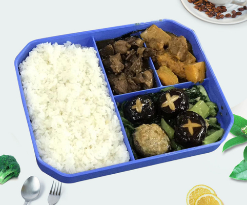 子供の社会集団のケイタリングのための再使用可能なプラスチック昼食の皿