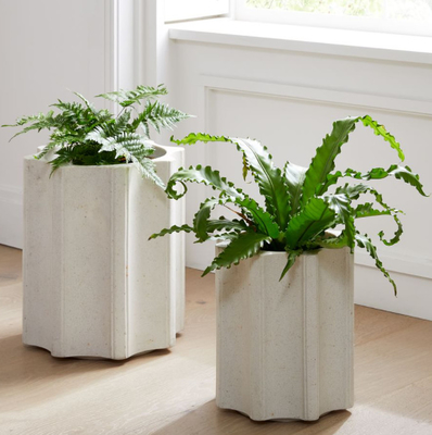 OEMサービスのプラスチックRotomouldingの植木鉢そしてプランター