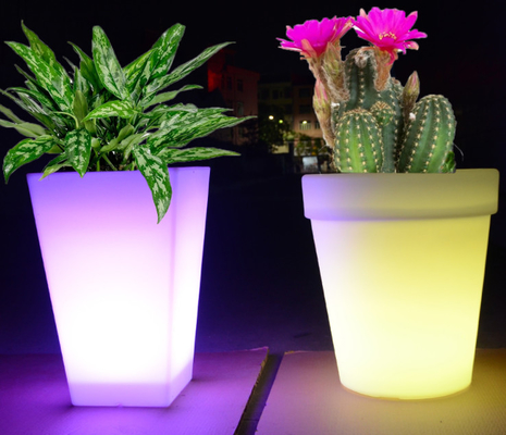 OEMサービスのプラスチックRotomouldingの植木鉢そしてプランター