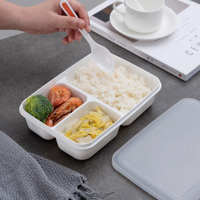 Eco子供のための友好的なBPA自由なPPプラスチックBentoのお弁当箱