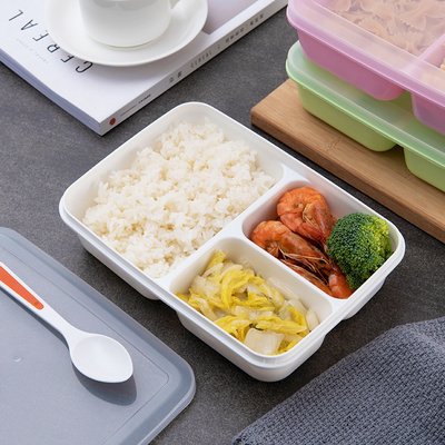 子供の再使用可能なプラスチック昼食の容器、BPA自由なBentoのお弁当箱